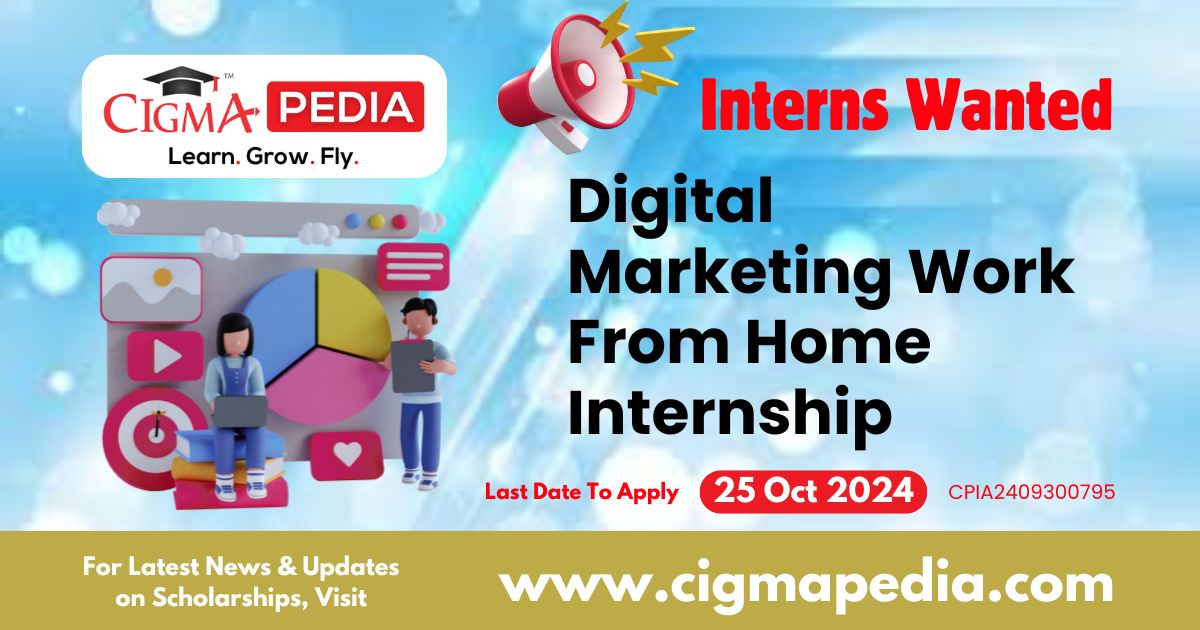 Digital Marketing Work From Home Internship