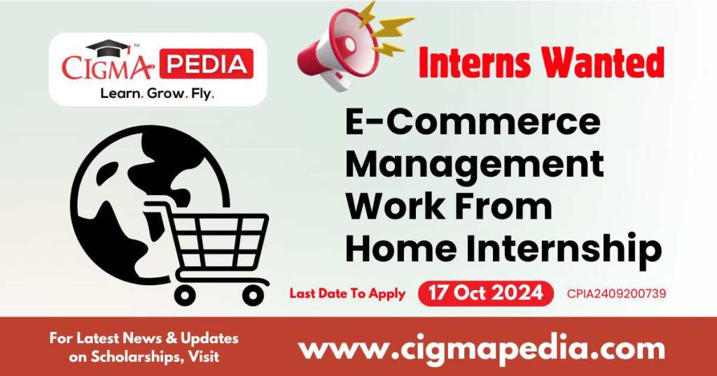 E-Commerce Management Work From Home Internship