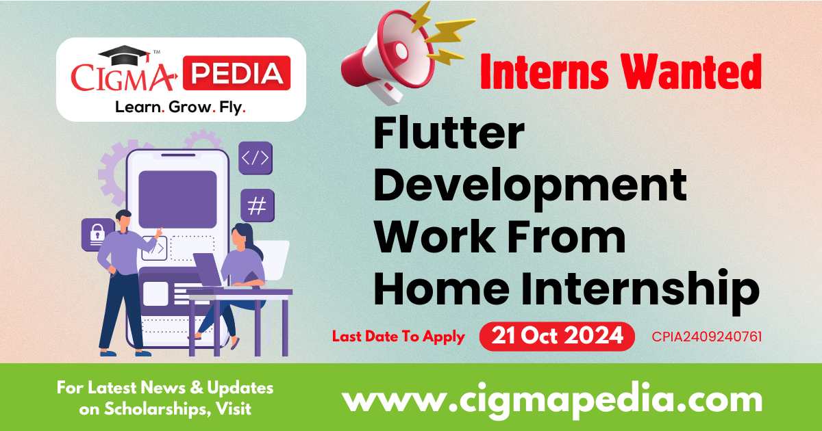 Flutter Development Work From Home Internship