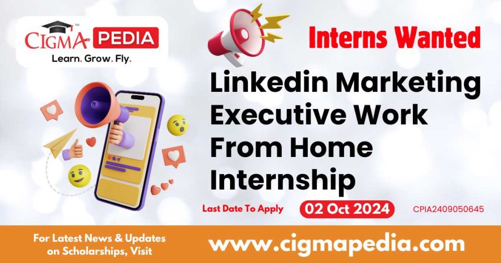 Linkedin Marketing Executive Work From Home Internship