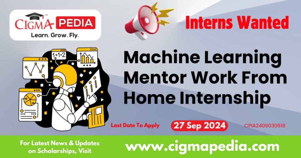 Machine Learning Mentor Work From Home Internship