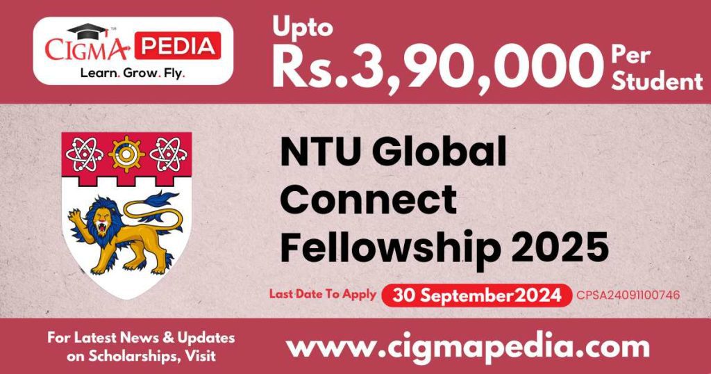 NTU Global Connect Fellowship