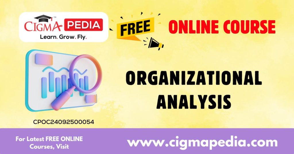 Organizational Analysis