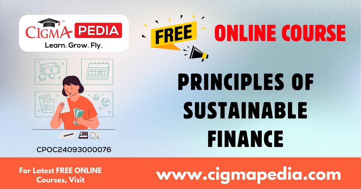 Principles of Sustainable Finance