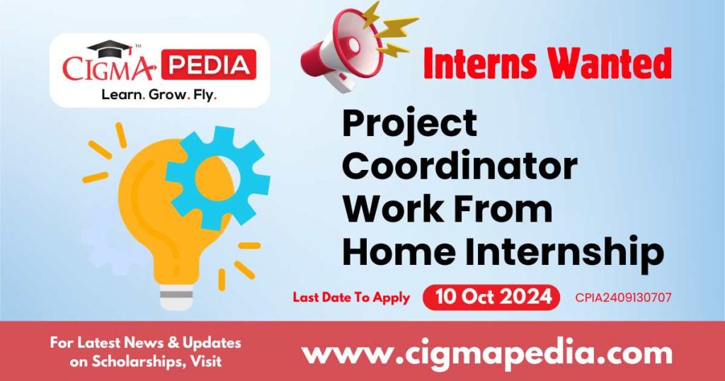 Project Coordinator Work From Home Internship