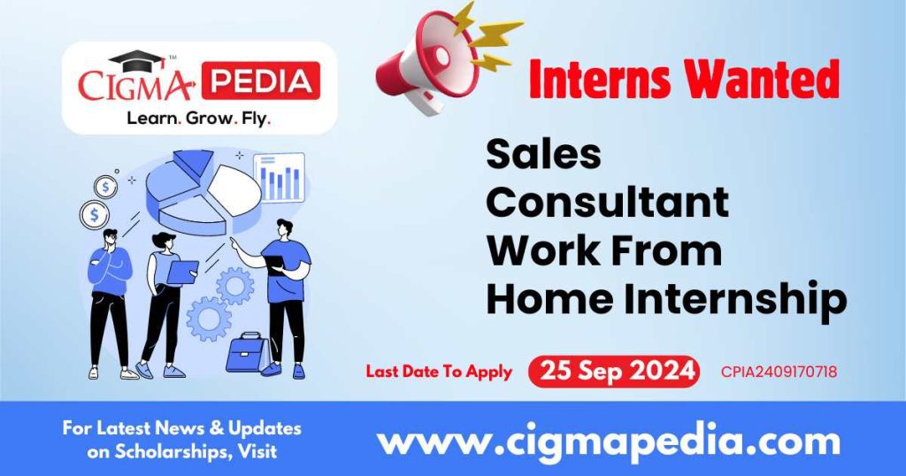 Sales Consultant Work From Home Internship