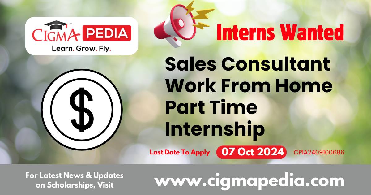 Sales Consultant Work From Home Part Time Internship by 3 Minds Digital