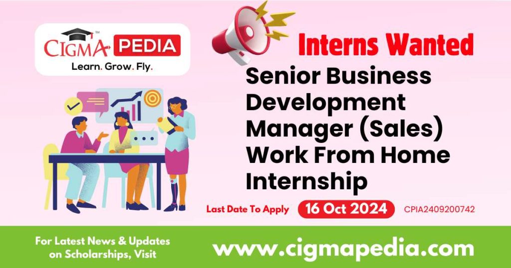 Senior Business Development Manager (Sales) Work From Home Internship