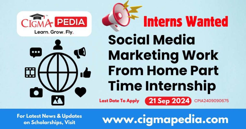 Social Media Marketing Work From Home Part Time Internship