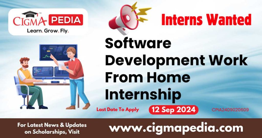 Software Development Work From Home Internship