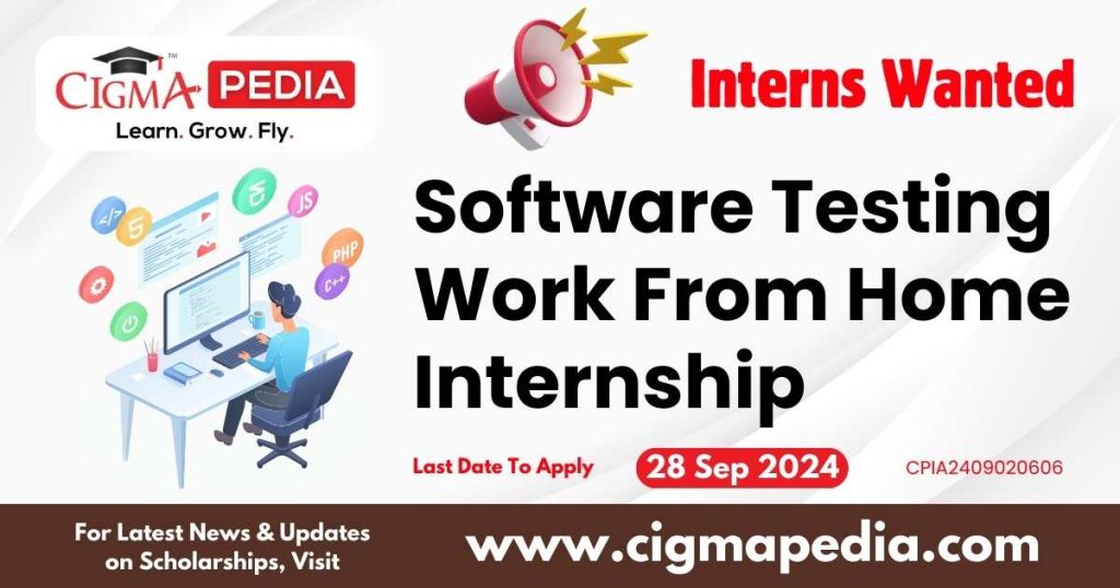 Software Testing Work From Home Internship