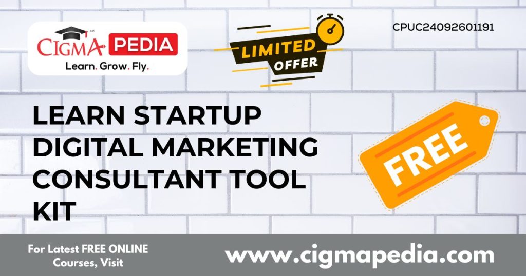 Startup Digital Marketing Consultant Tool Kit