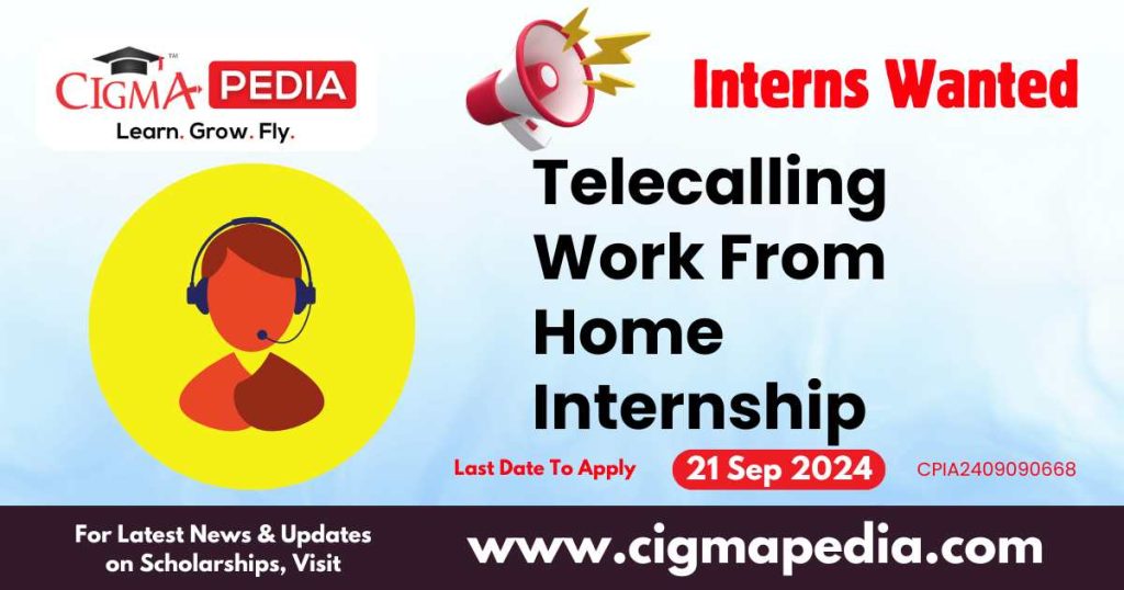 Telecalling Work From Home Internship