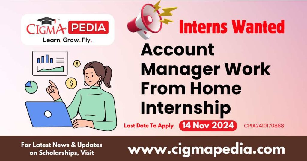 Account Manager Work From Home Internship