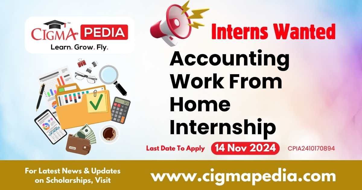 Accounting Work From Home Internship