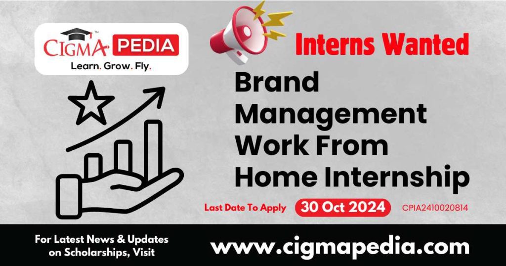 Brand Management Work From Home Internship