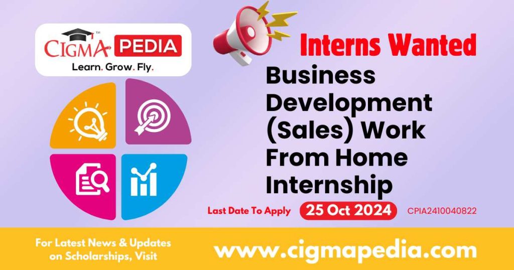 Business Development (Sales) Work From Home Internship