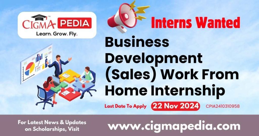 Business Development (Sales) Work From Home Internship