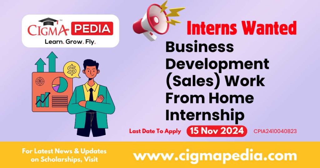 Business Development (Sales) Work From Home Internship