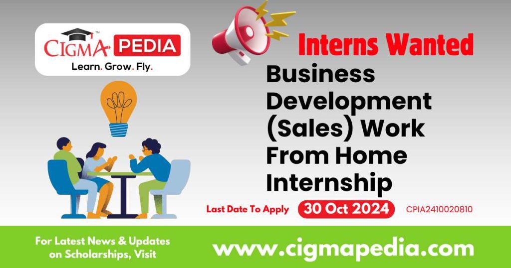 Business Development (Sales) Work From Home Internship