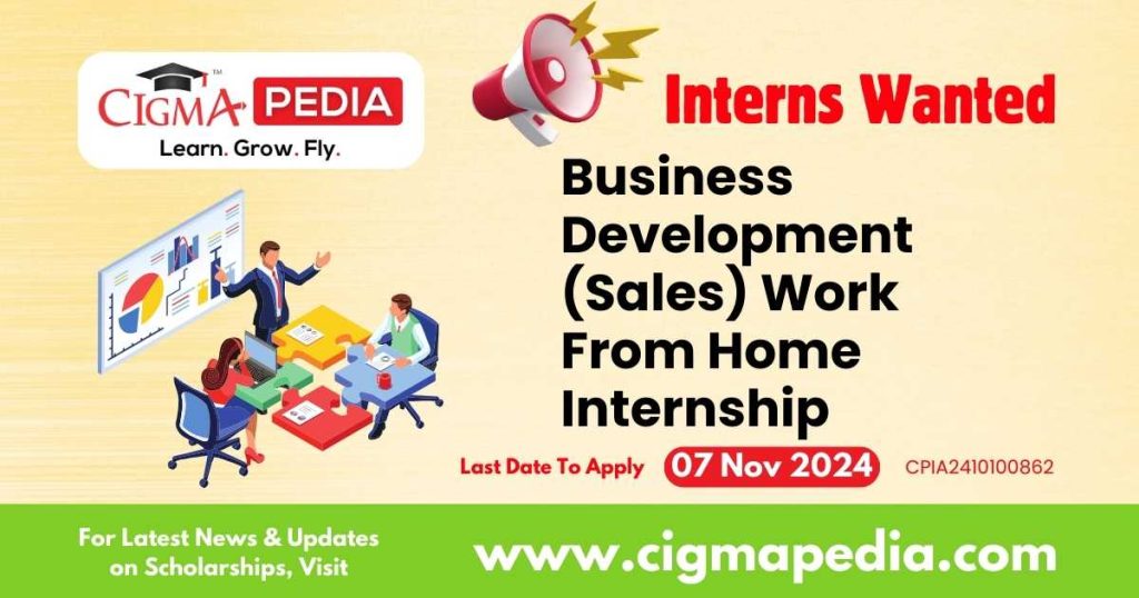 Business Development (Sales) Work From Home Internship