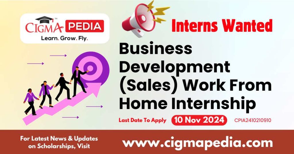 Business Development (Sales) Work From Home Internship