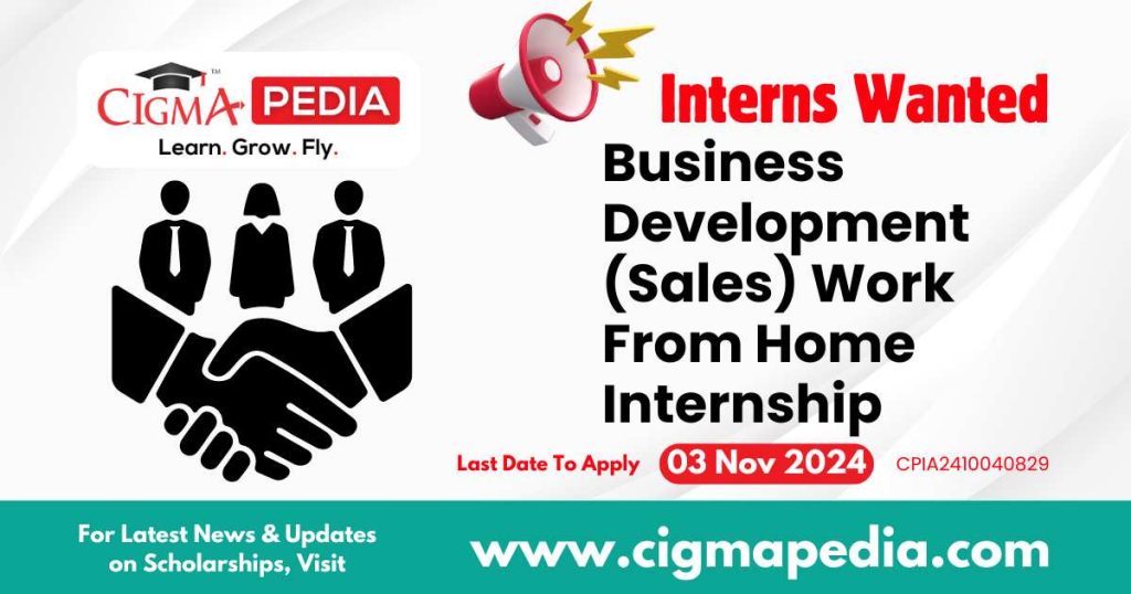 Business Development (Sales) Work From Home Internship