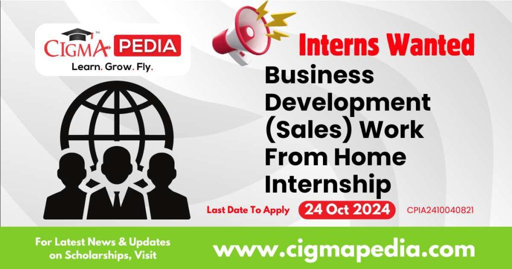 Business Development (Sales) Work From Home Internship