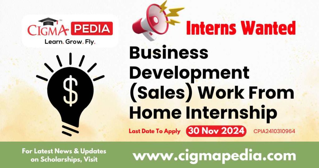 Business Development (Sales) Work From Home Internship