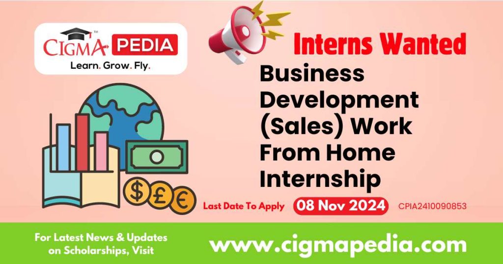 Business Development (Sales) Work From Home Internship