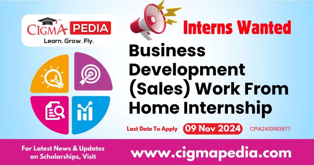 Business Development (Sales) Work From Home Internship