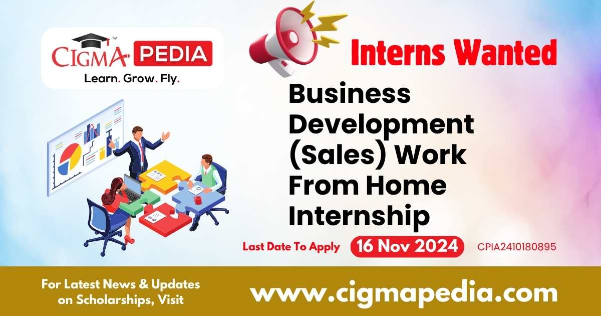 Business Development (Sales) Work From Home Internship