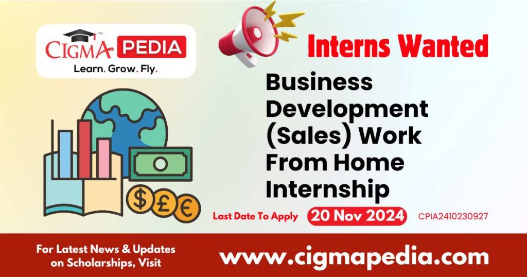 Business Development (Sales) Work From Home Internship