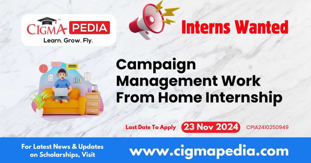 Campaign Management Work From Home Internship