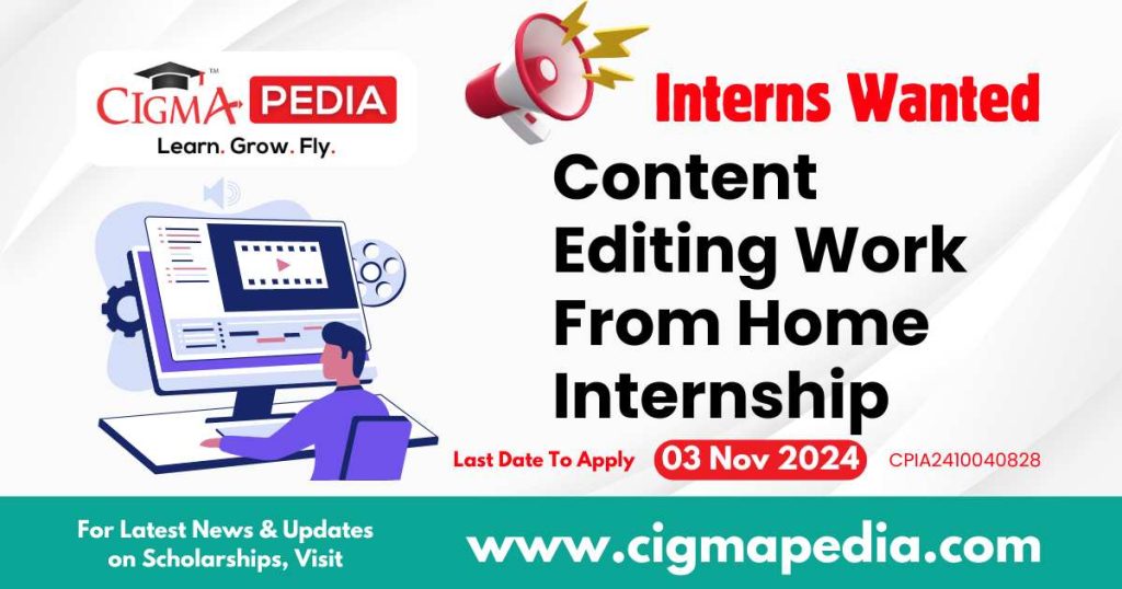 Content Editing Work From Home Internship