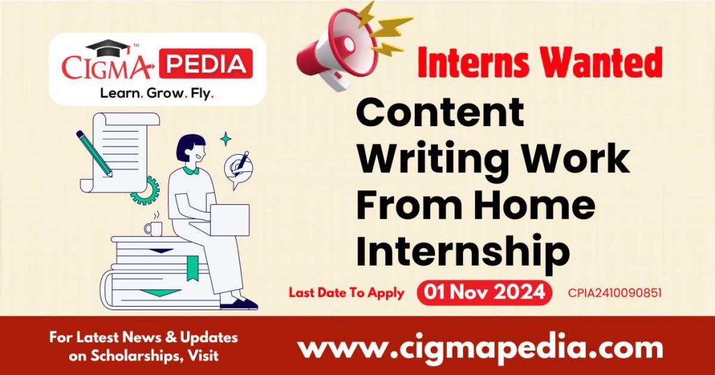 Content Writing Work From Home Internship