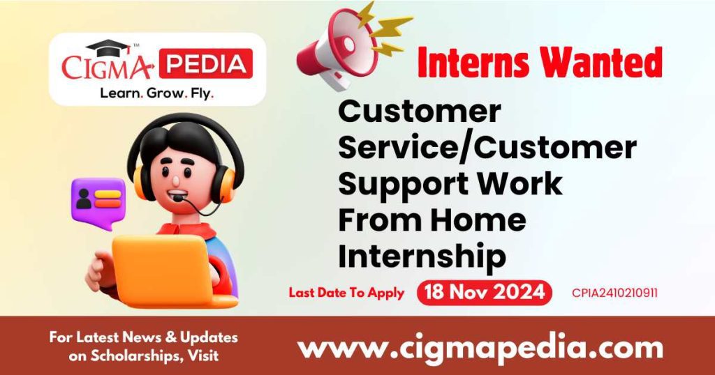 Customer Service/Customer Support Work From Home Internship