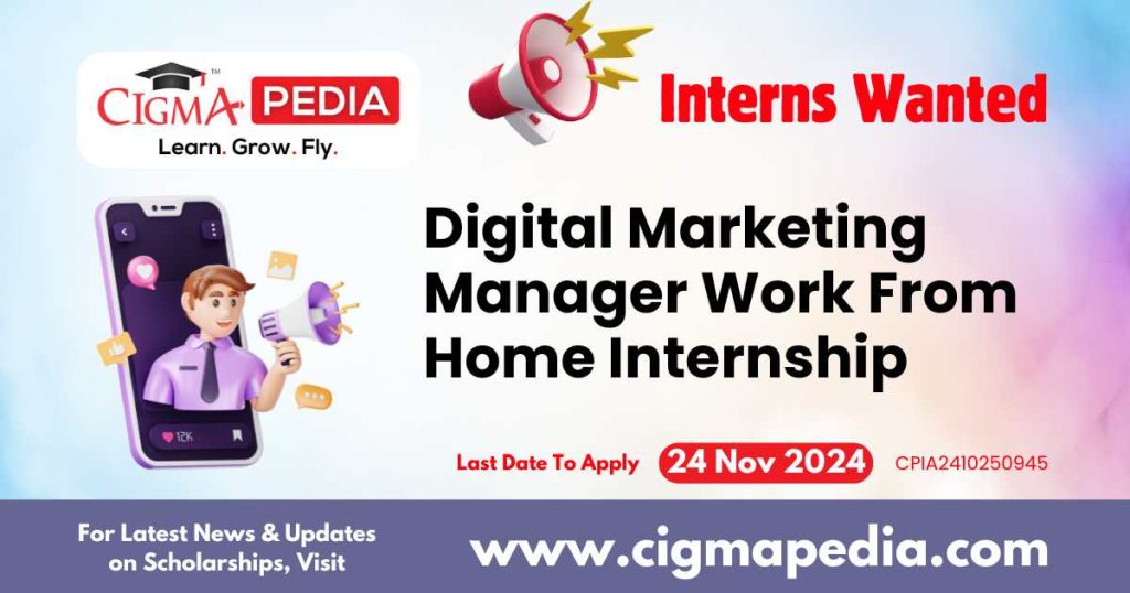 Digital Marketing Manager Work From Home Internship