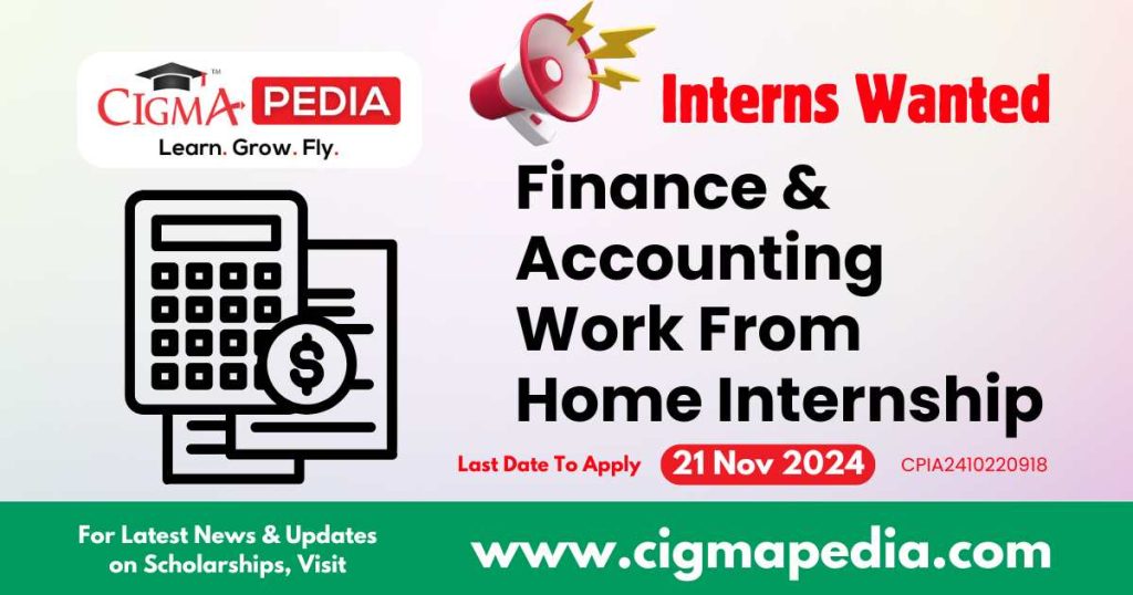 Finance & Accounting Work From Home Internship