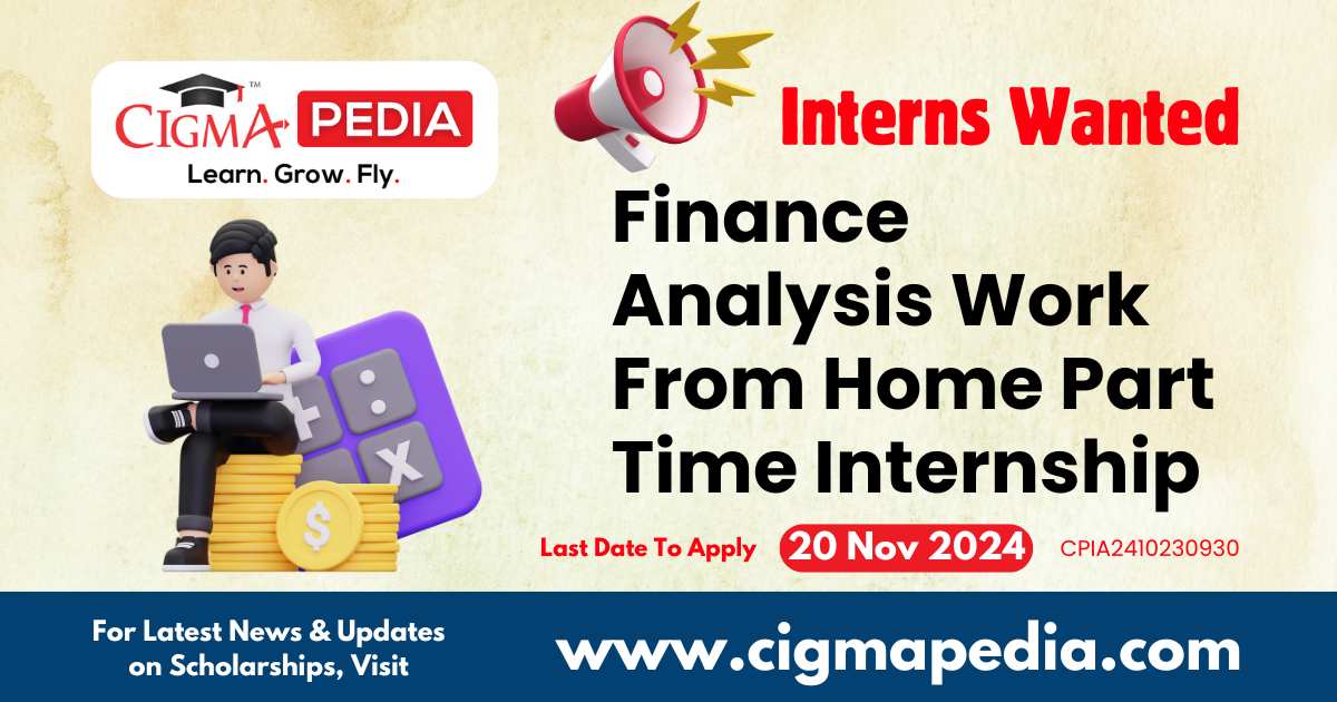 Finance Analysis Work From Home Part Time Internship