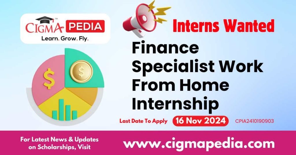 Finance Specialist Work From Home Internship