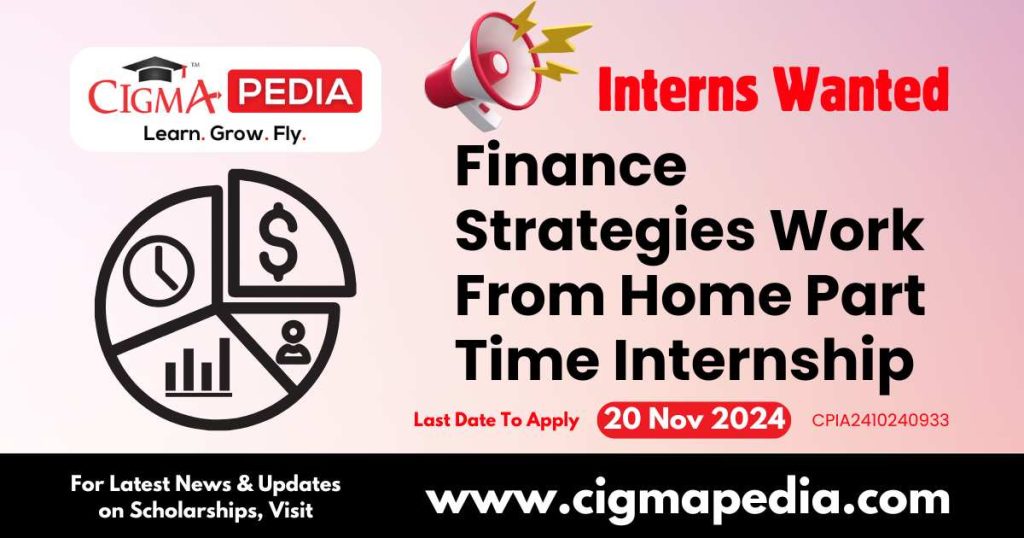 Finance Strategies Work From Home Part Time Internship