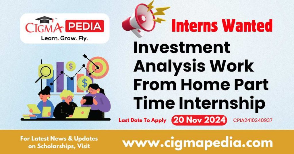 Investment Analysis Work From Home Part Time Internship