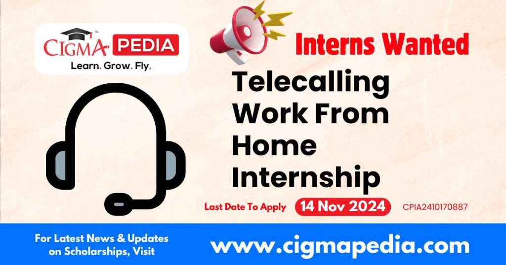 Telecalling Work From Home Internship