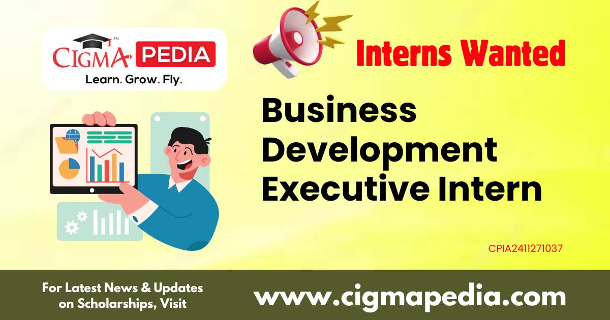 Business Development Executive Intern