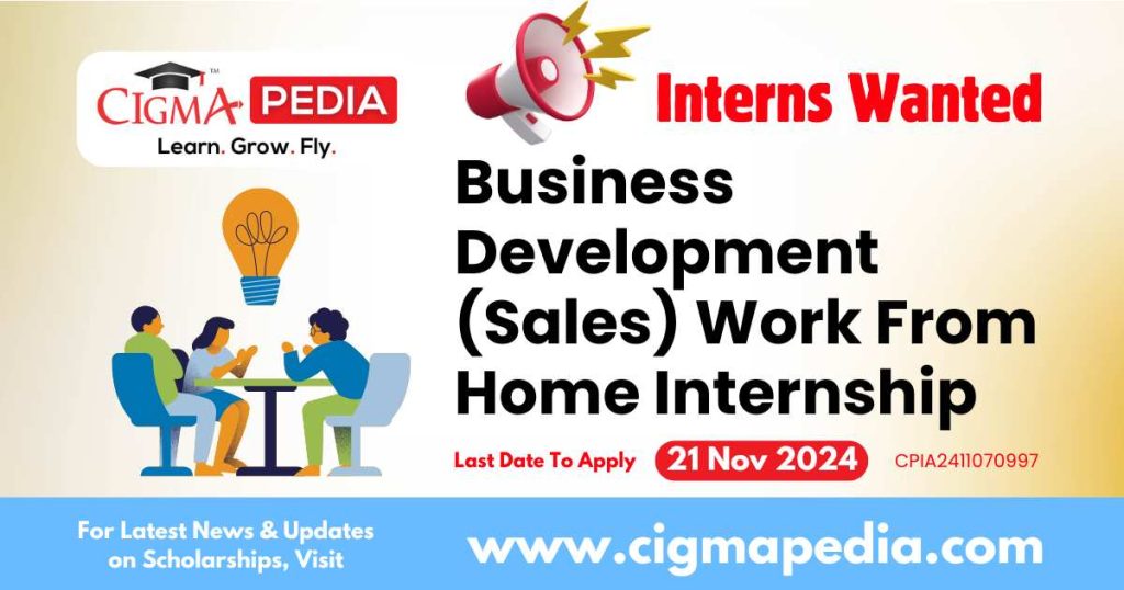 Business Development (Sales) Work From Home Internship