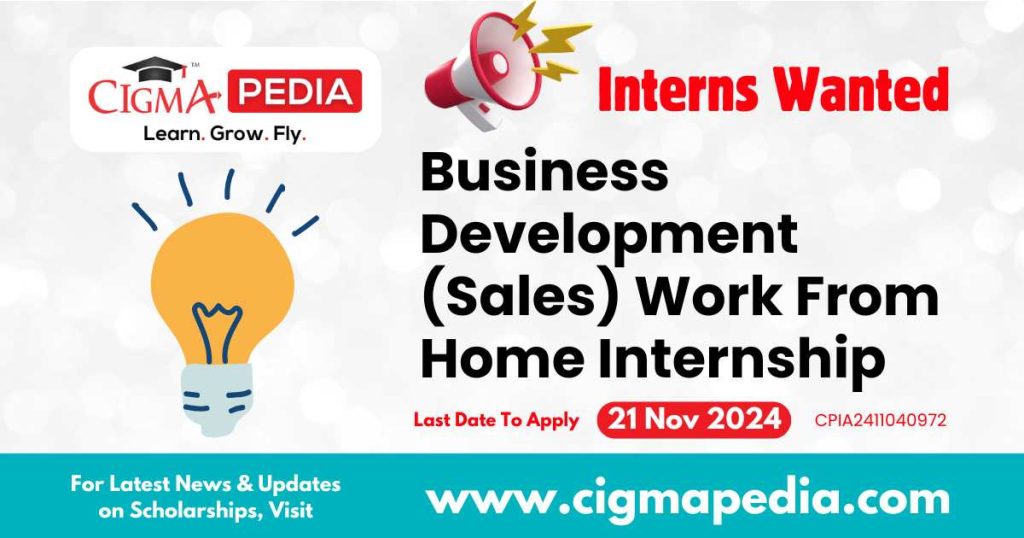 Business Development (Sales) Work From Home Internship