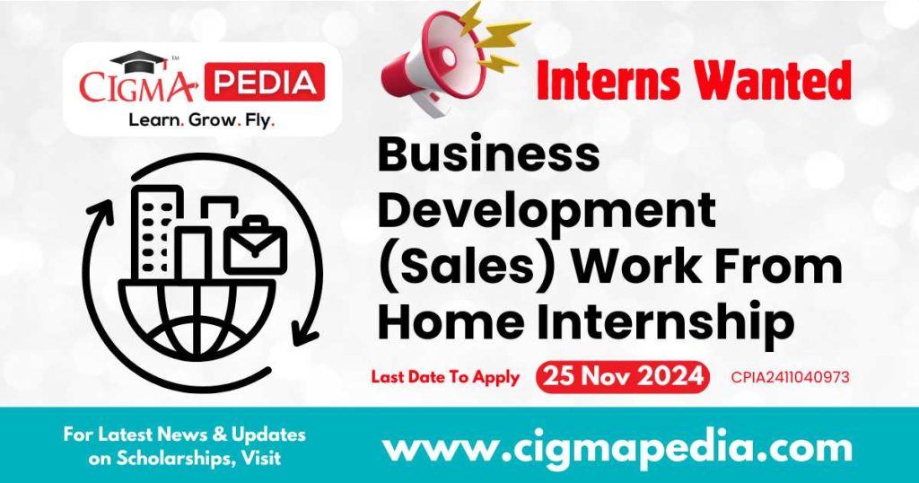 Business Development (Sales) Work From Home Internship