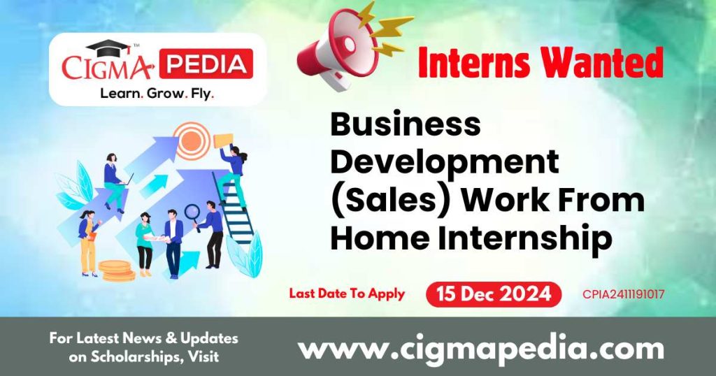 Business Development (Sales) Work From Home Internship