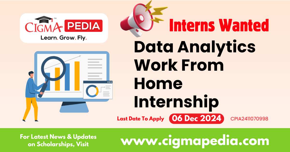 Data Analytics Work From Home Internship